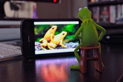 Kermits having a rough time with miss piggy not being around 