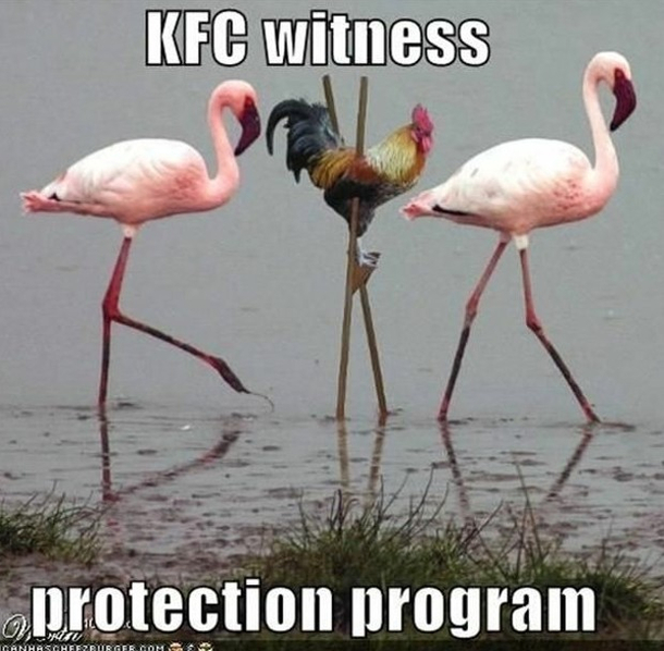 KFC witness protection program