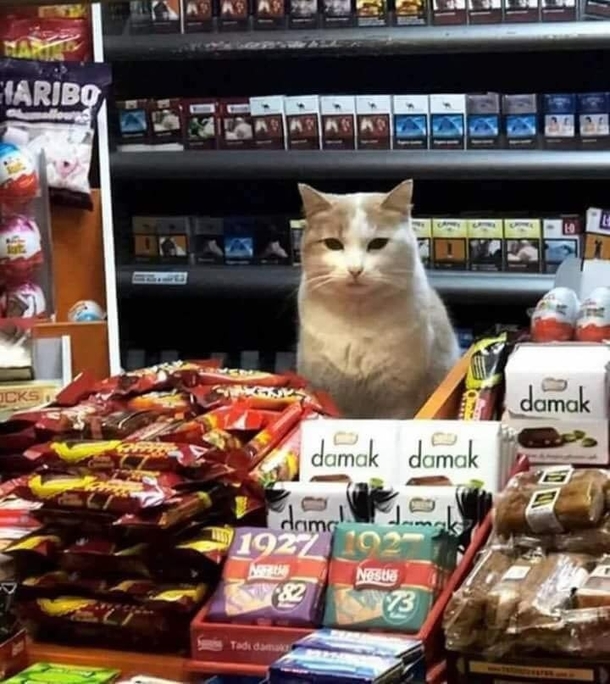 Khajiit has wares if you have coin