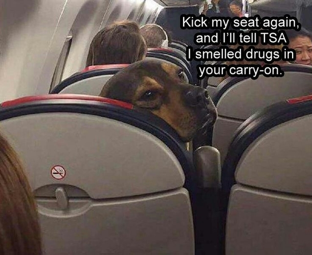 kick my seat again