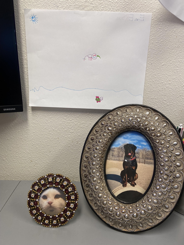 Kids are funny My bosses  year old daughter was in today and decided to draw me a picture of my animals I think the resemblance is uncanny dont you Ps before anyone freaks out I think this is not only funny its also beyond precious