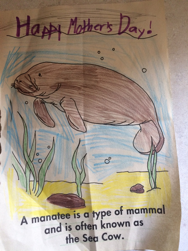 Kids do bring a smile to my face