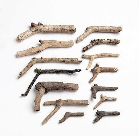 Kids firearm collection