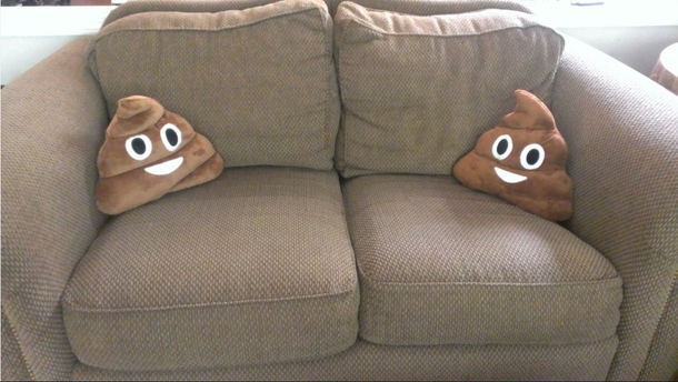 Kids said I should class the place up with some throw pillows Meet our new buds Runny and Squirtle