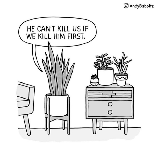 Kill or be killed oc