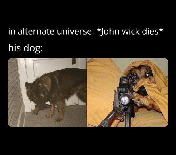 KILLER DOGGO