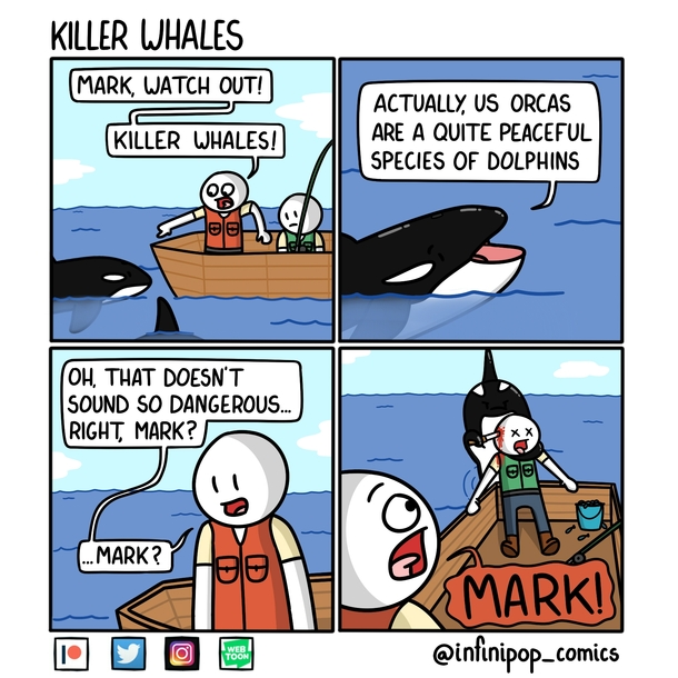 Killer Whales 