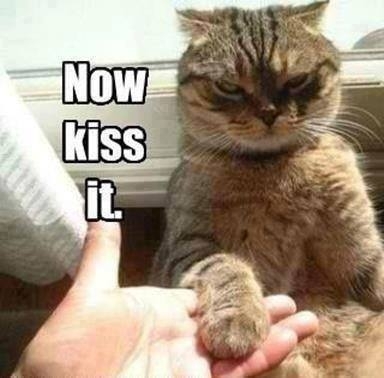 Kiss it KISS IT NAO