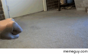 Kitty Fist Bump 