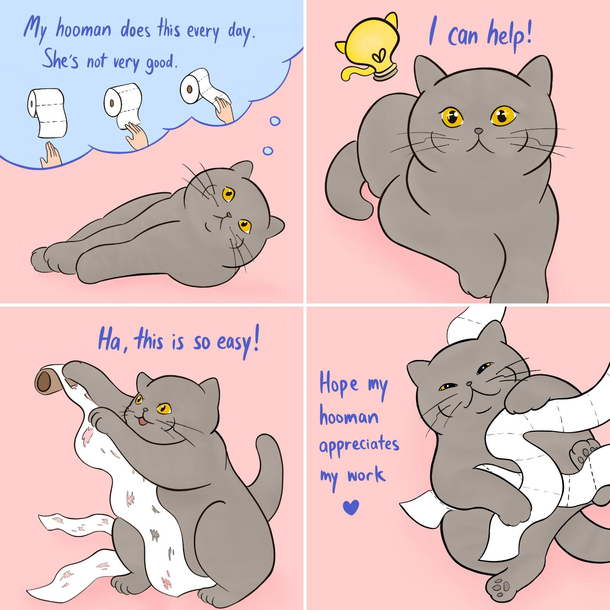 Kitty hero helps silly hooman koobeycatcomics