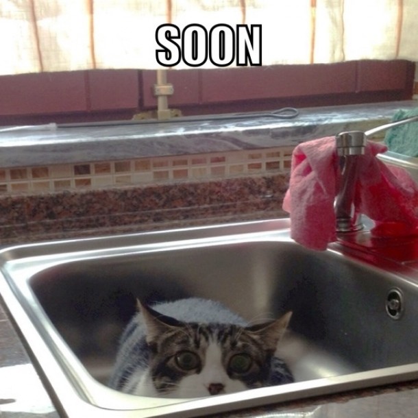 Kitty keeps stalking me