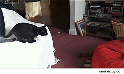Kitty Olympic Landing