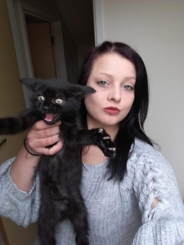 Kitty slipped mid photo There were no survivors