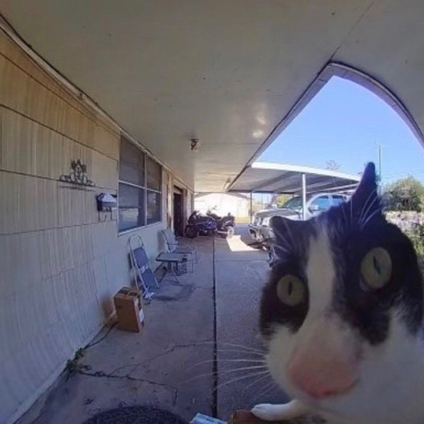 Kitty your boyfriend is at the door