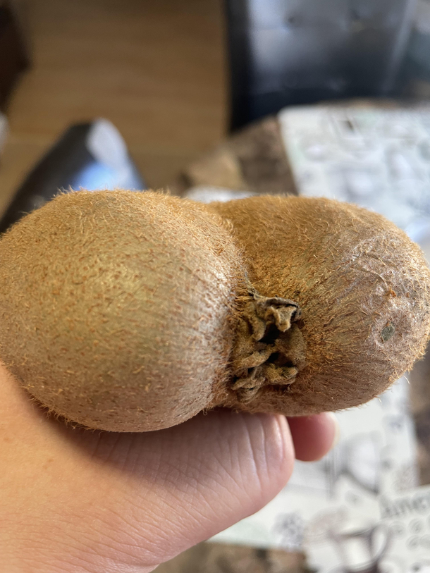 Kiwi looking thick