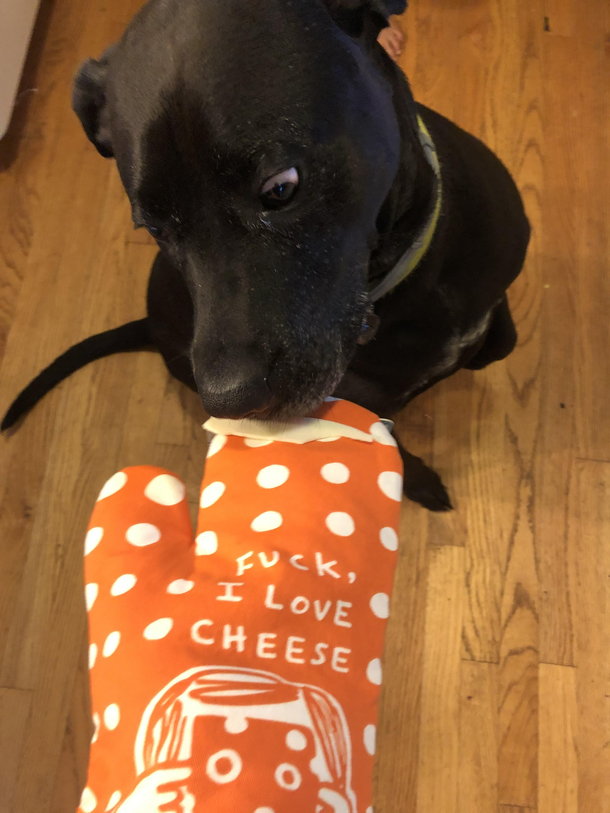 Knew this oven mitt was worth it
