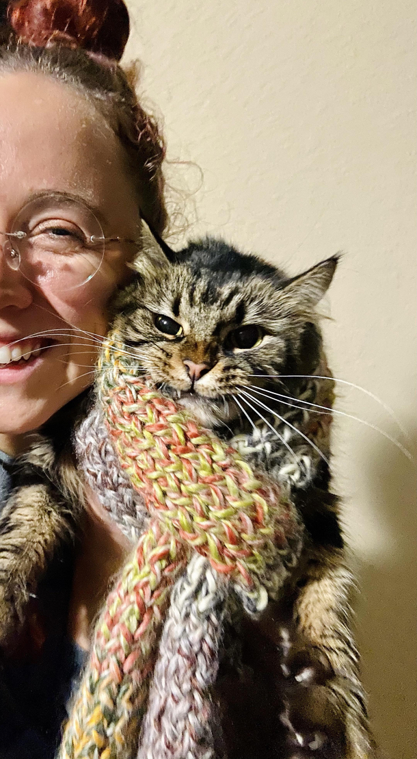 Knit a scarf for my cat for xmas she doesnt seem too thrilled