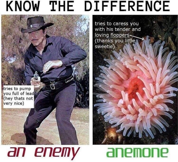 Know the Difference