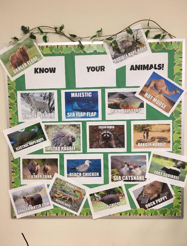 Know Your Animals