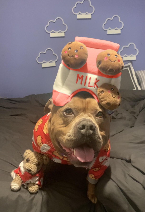 Kobe in his milk and cookies hat and pjs lol