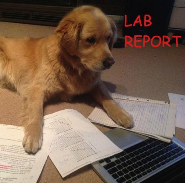 Lab Report