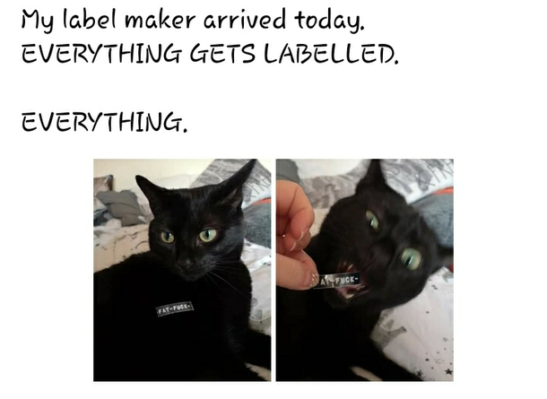LABEL ALL THE THINGS