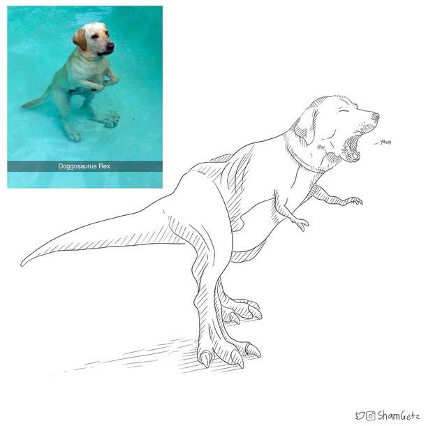 Labradorus rex