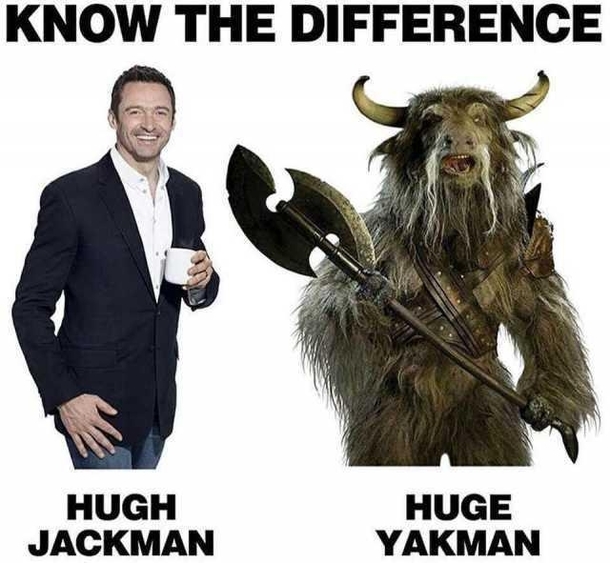 Ladies and Gentlemen