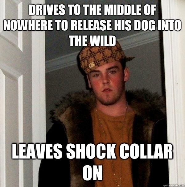 Ladies and gentlemen My scumbag neighbor