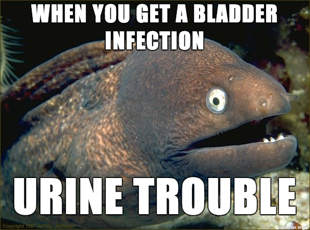 Lame Joke Eel