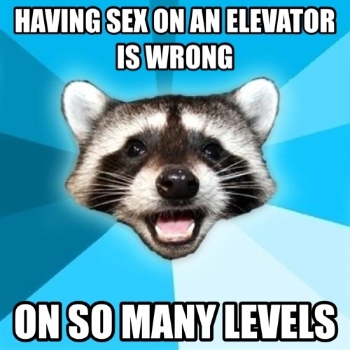 Lame pun