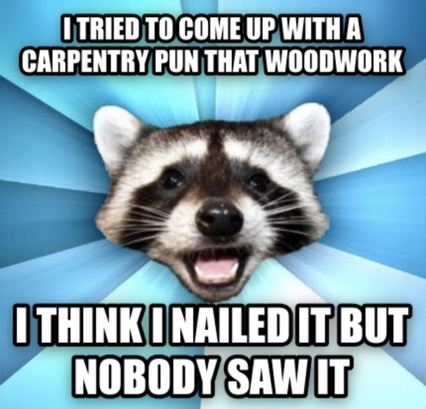 Lame pun raccoon