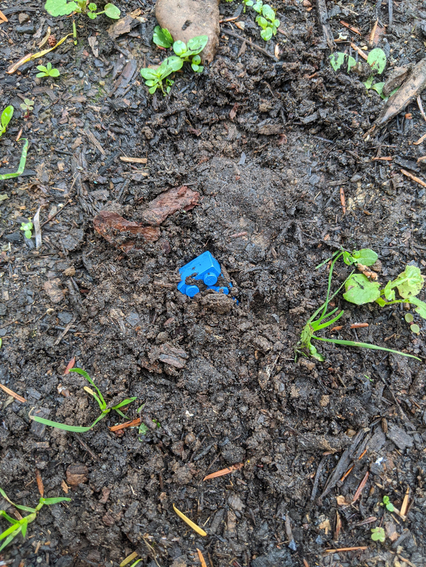 Landmine placed by insurgent children