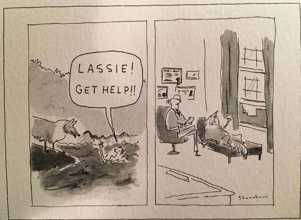 Lassie get help