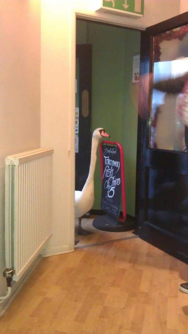 Last picture taken before disaster