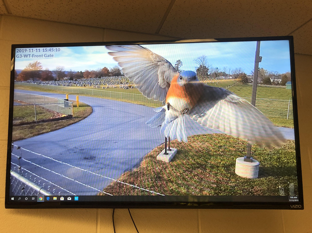 Last thing our gate camera saw