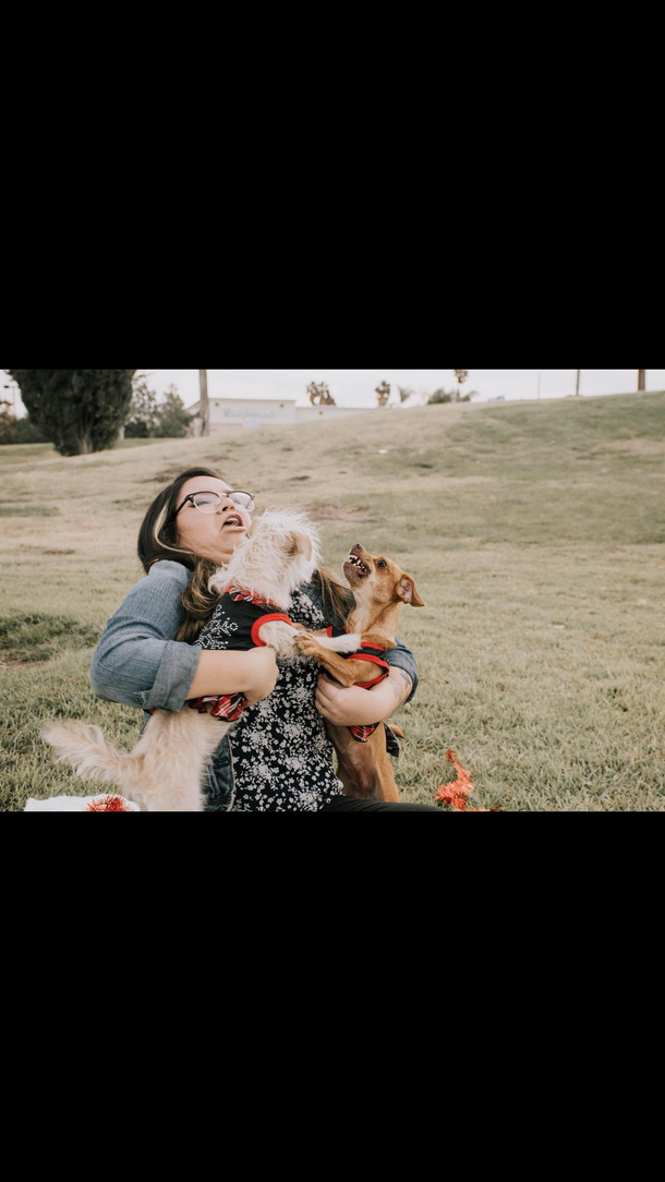 Last years Christmas card 