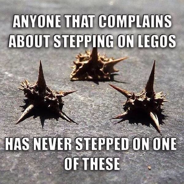Late fall is hell because of these
