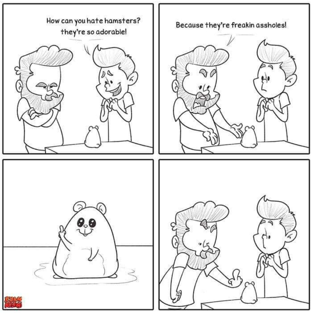 Laughed harder than I shouldve for sure