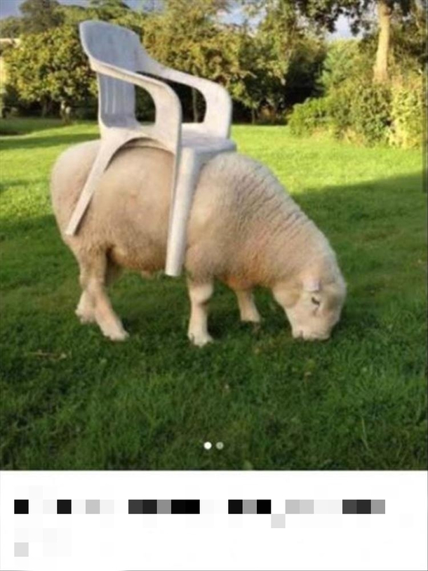 Lawn mowing in 