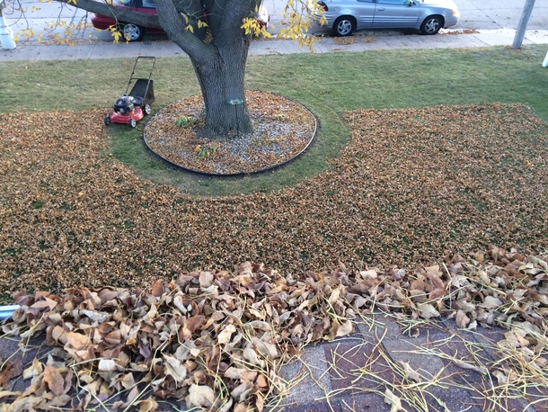 Lawnmower gives  fucks about Fall