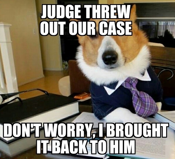 Lawyer dog