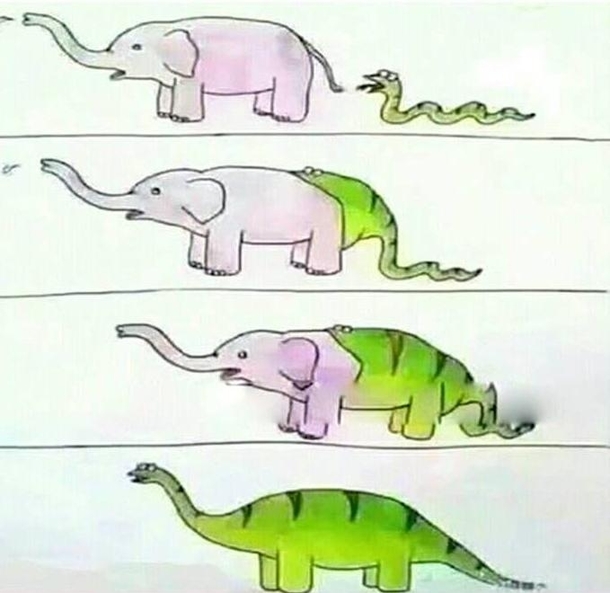Le evolution ze dinosaurs