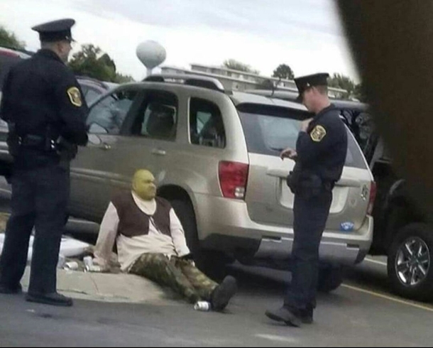 leaked footage of the new shrek  movie