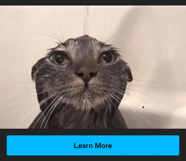 Learn more