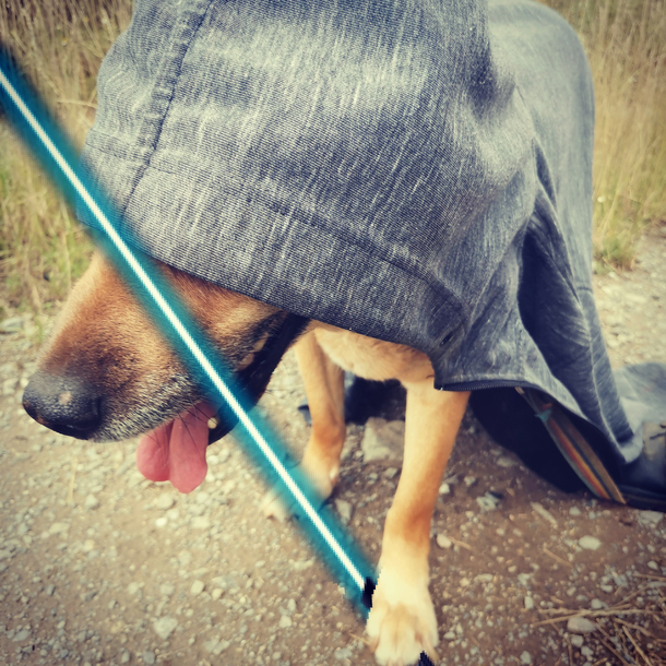 Leave her alone she just wants to be Obi Wan Kenobi