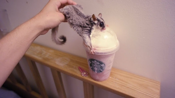 Leave me alone with my starbucks