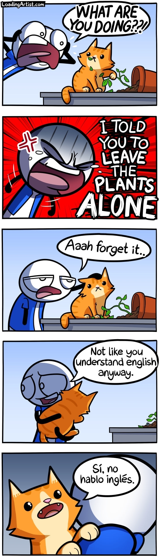 Leave the plants alone 