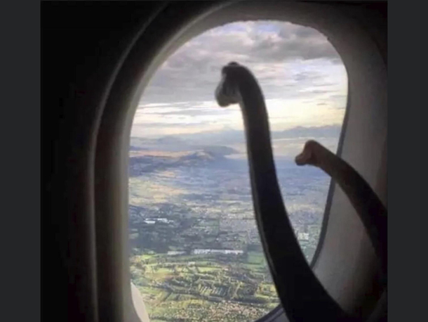 Leaving the land before time