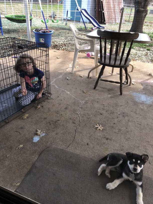 Left alone for  minutes and this is what I find